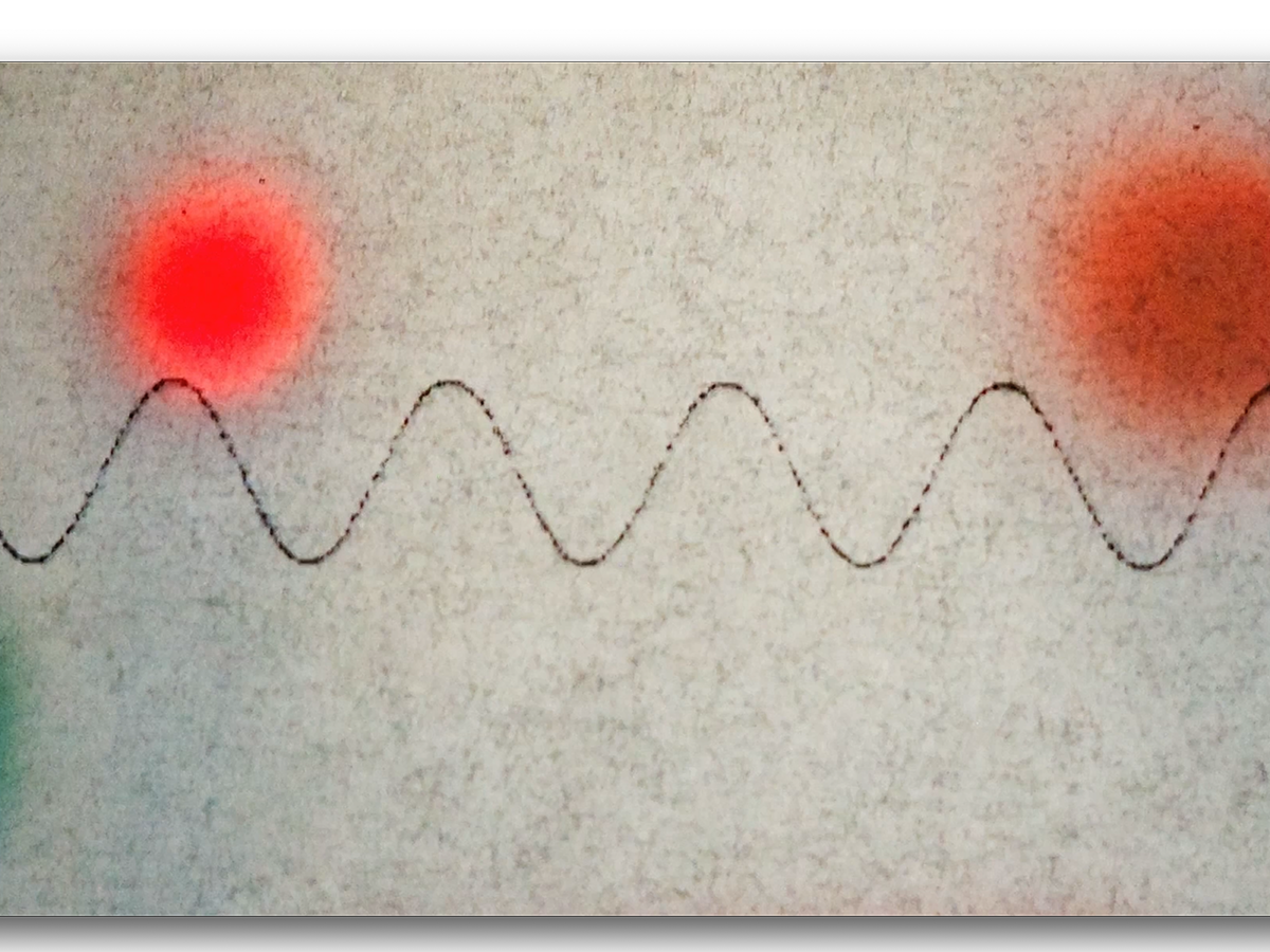 網膜を想像する